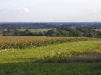Coesfeld - 