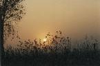 Coesfeld - 