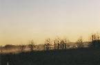 Coesfeld - 