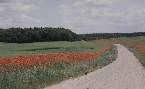 Coesfeld - 