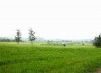 Coesfeld - 